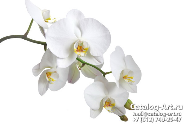 картинки для фотопечати на потолках, идеи, фото, образцы - Потолки с фотопечатью - Белые орхидеи 33